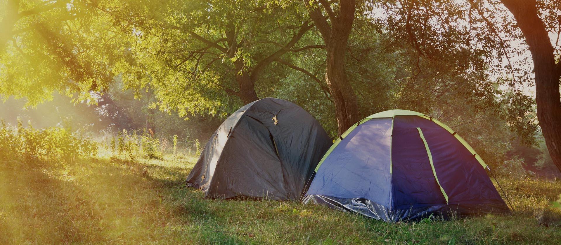 Wiggeshoff Camping